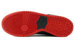 Nike x SPoT SB Dunk High Pro 'Gasparilla' 313171-028