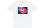 Supreme FW20 Week 4 x Yohji Yamamoto Tee 'Black White' SUP-FW20-098