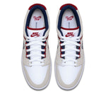 Nike SB Air Force 2 Low '76ers' AO0300-100