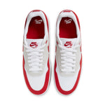 Nike GTS Return SB 'Air Max 1' CK3464-600