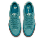 (WMNS) Nike Zoom Pogo Plus SB 'Noise Aqua Gum' DV5469-401