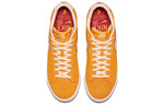 Nike Blazer Low SB GT 'Home State Georgia' 716890-816