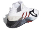 adidas Streetball 'Collegiate Burgundy' EF6990