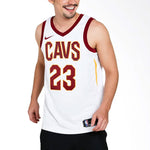 Nike LeBron James Association Edition WhiteRedGold 864409-100