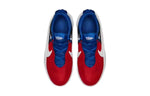 (GS) Nike Team Hustle D10 'University Red Game Royal' CW6735-005