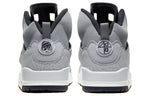 Air Jordan Spizike 'Cool Grey' 315371-008