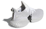 adidas Alphabounce Instinct 'Cloud White Grey Two' AQ0562