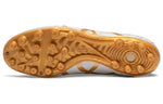 ASICS DS Light AG 'White Gold' 1103A032-100
