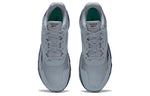 Reebok Ridgerider 5.0 'Meteor Grey' FW5275