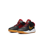 (PS) Nike Team Hustle D9 'Dark Smoke Grey Metallic Gold' AQ4225-011