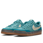 (WMNS) Nike Zoom Pogo Plus SB 'Noise Aqua Gum' DV5469-401