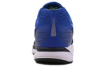 Nike Air Zoom Pegasus 34 'Blue Jay' 880555-402