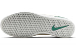 Nike Team Classic SB 'Bicoastal Celestial Gold' AH3360-302