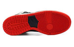 Nike SB Dunk High Pro 'Steel Reserve' 305050-027