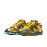 Nike Dunk Pro Low SB 'Doernbecher' 2018 BV8740-377