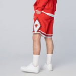 Nike Chicago Bulls Courtside Heritage NBA Casual Sports Logo Printing Basketball Shorts Red CV5597-657