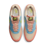 Nike Air Max 1 'Light Madder Root' DV3196-800