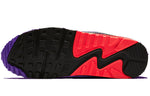 Nike Air Max 90 Essential 'Raptors' AJ1285-106