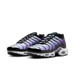 Nike Air Max Plus 'Reverse Grape' FQ2415-500
