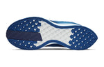 Nike Zoom Pegasus Turbo 'Indigo Force' AJ4114-400