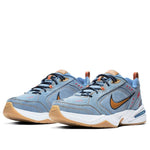 Nike Air Monarch IV 'Father's Day' AV6676-400