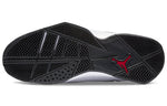 Air Jordan True Flight 'White Cement' 342964-104