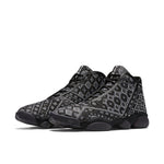 Air Jordan Horizon PRM 'PSNY' 827432-002