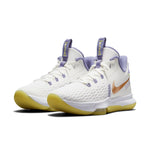 Nike LeBron Witness 5 'Summit White Metallic Bronze' CQ9380-102