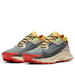 Nike Pegasus Trail 2 GTX 'Smoke Grey Bucktan' CU2016-002