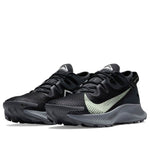 Nike Pegasus Trail 2 'Dark Smoke Grey' CK4305-002