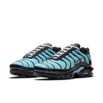 Nike Air Max Plus 'Aqua Silver' CV8838-400