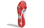 adidas Predator 19.1 FG '25th Anniversary' EE7864