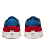 Nike Shane SB 'Multi' BV0657-303