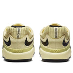 Nike Ishod Wair SB 'Coconut Milk' DC7232-700