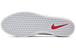 Nike Team Classic SB 'Mars Yard' AH3360-202