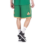Nike NBA SW 19-20 Boston Celtics City Edition Swingman Shorts Green BV5862-312