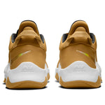 Nike PG 5 EP 'Wheat Metallic Gold' CW3146-700