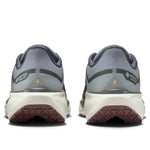 Nike Air Zoom Pegasus 41 Gore-Tex 'Light Pumice Ashen Slate Burgundy' FQ1356-003