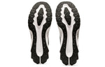 ASICS Novablast Platinum 'Carrier Grey' 1011A970-020