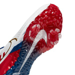 Nike Air Zoom Infinity Tour Golf NRG 'USA' CT0601-110