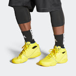 adidas D Rose 1 Retro 'Yellow' FW3665