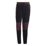 adidas Dfb Ls Flc Pnt HF4070