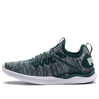 (WMNS) PUMA Ignite Flash Evoknit 'Gray Green White' 190511-16