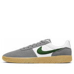 Nike Team Classic SB 'Particle Grey Forest Green' AH3360-016