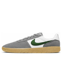 Nike Team Classic SB 'Particle Grey Forest Green' AH3360-016