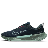 Nike Juniper Trail 2 Gore-Tex 'Seaweed Clay Green Mint Foam' HM9734-302