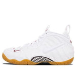 Nike Foamposite Pro 'Gucci' 624041-102