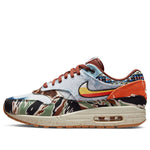 Nike x Concepts Air Max 1 SP 'Heavy' DN1803-900