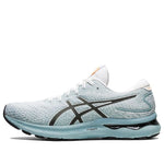 ASICS Gel-Nimbus 24 2E Wide 'Light Steel' 1011B361-404