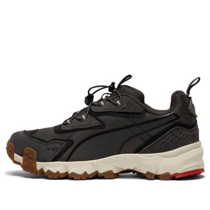PUMA Trailfox Mts Water Gray 372220-02